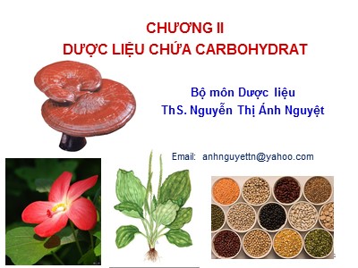 Bài giảng Dược liệu - Chương II: Dược liệu chứa Carbohydrat - Nguyễn Thị Ánh Nguyệt