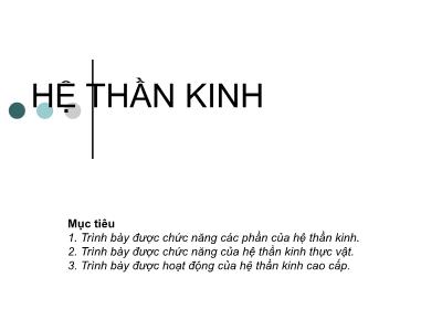 Bài giảng Hệ thần kinh