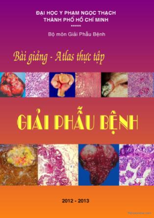 Bài giảng môn Giải phẫu bệnh (Phần 1)