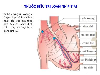 Bài giảng Thuốc điều trị loạn nhịp tim