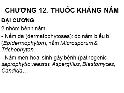 Bài giảng Thuốc kháng nấm