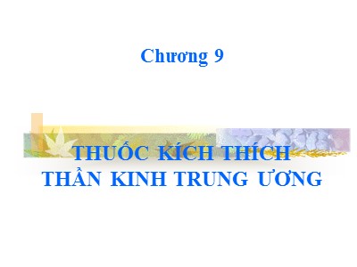 Bài giảng Thuốc kích thích thần kinh trung ương