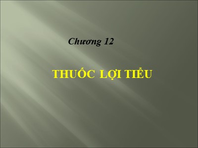 Bài giảng Thuốc lợi tiểu