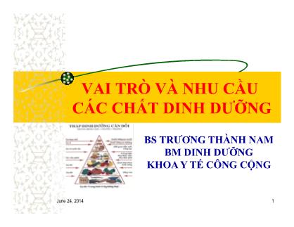 Bài giảng Vai trò và nhu cầu các chất dinh dưỡng