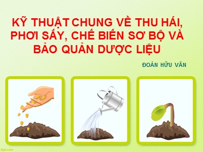 Kỹ thuật chung về thu hái, phơi sấy, chế biến sơ bộ và bảo quản dược liệu - Đoàn hữu văn