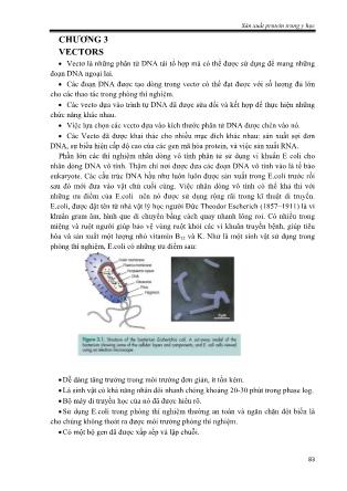 Sản xuất protein trong Y học - Trần Hoàng Dũng (Phần 2)