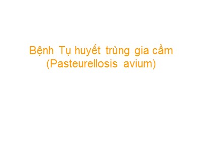 Bài giảng Bệnh tụ huyết trùng gia cầm (Pasteurellosis avium)