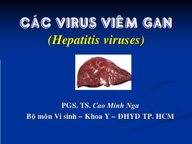 Bài giảng Các virus viêm gan (Hepatitis viruses) - Cao Minh Nga