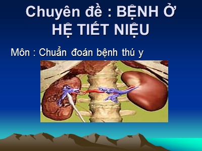 Bài giảng Chuẩn đoán bệnh thú y - Bệnh ở hệ tiết niệu