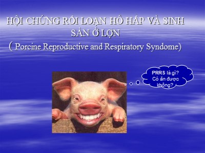 Bài giảng Hội chứng rối loạn hô hấp và sinh sản ở lợn (Porcine Reproductive and Respiratory Syndome)