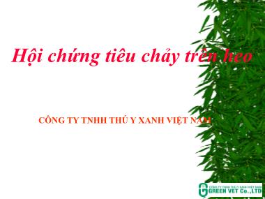 Bài giảng Hội chứng tiêu chảy trên heo