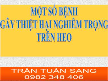 Bài giảng Một số bệnh gây thiệt hại nghiêm trọng trên heo