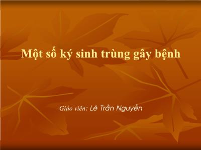 Bài giảng Một số ký sinh trùng gây bệnh - Lê Trần Nguyễn