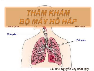 Bài giảng Thăm khám bộ máy hô hấp - Nguyễn Thị Cẩm Quỳ