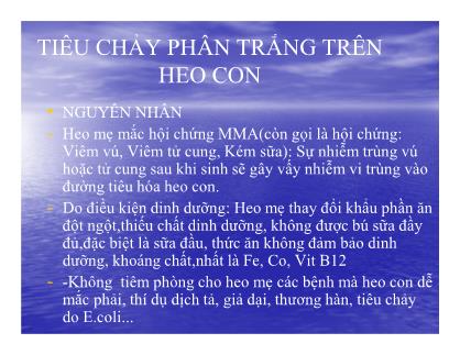 Bài giảng Tiêu chảy phân trắng trên heo con