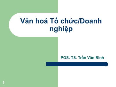 Bài giảng Văn hóa tổ chức-Doanh nghiệp - Trần Văn Bình