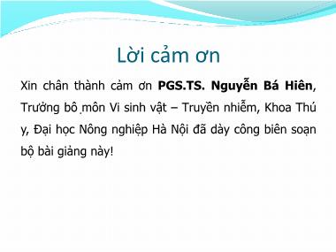 Bài giảng Vi khuẩn học thú y - Giống Streptococcus