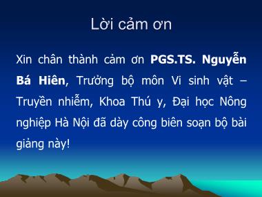 Bài giảng Vi khuẩn học thú y - Họ Mycobacteriacae - Nguyễn Bá Hiền