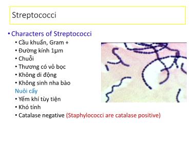 Bài giảng Vi khuẩn học thú y - Streptococci