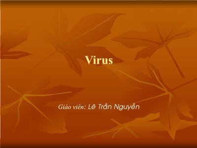 Bài giảng Virus - Lê Trần Nguyễn