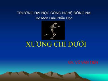 Bài giảng Xương chi dưới - Vũ Văn Tiến