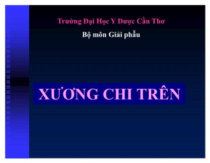 Bài giảng Xương chi trên