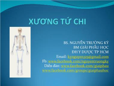 Bài giảng Xương tứ chi - Nguyễn Trường Kỳ