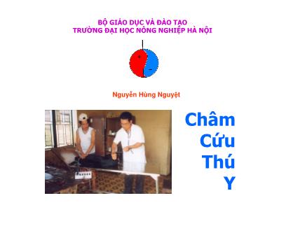 Bảng giảng Châm cứu thú y - Nguyễn Hùng Nguyệt