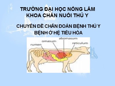 Chuyên đề Chẩn đoán bệnh thú y bệnh ở hệ tiêu hóa