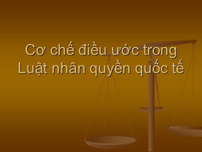 Cơ chế điều ước trong Luật nhân quyền quốc tế