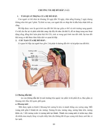 Giáo trình Giải phẫu sinh lý trẻ em (Dùng cho ngành GD Mầm non – hệ Từ xa) (Phần 2)