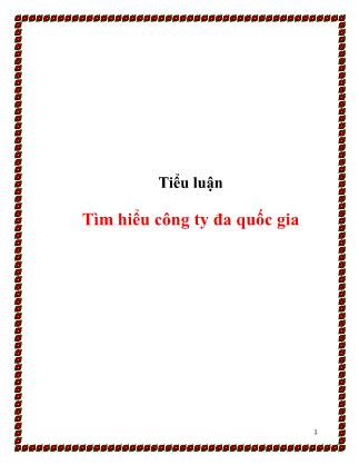 Tiểu luận Tìm hiểu công ty đa quốc gia