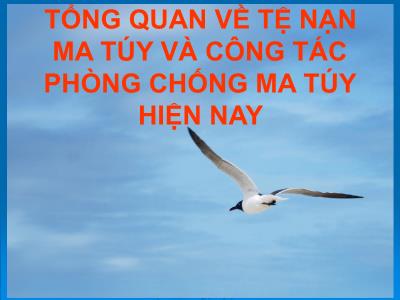 Tổng quan về tệ nạn ma túy và công tác phòng chống ma túy hiện nay