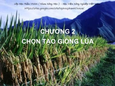 Bài giảng Chọn tạo giống cây ngắn ngày - Chương 2: Chọn tạo giống lúa