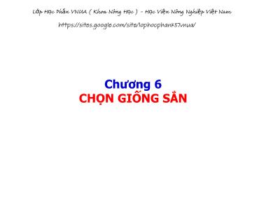 Bài giảng Chọn tạo giống cây ngắn ngày - Chương 6: Chọn giống sắn