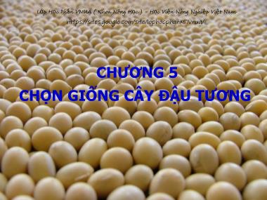 Bài giảng Chọn tạo giống cây ngắn ngày - Chương 8: Chọn giống cây đậu tương