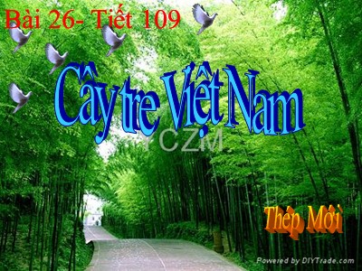 Bài giảng Ngữ văn Lớp 6 - Tiết 109, Bài 26: Cây tre Việt Nam