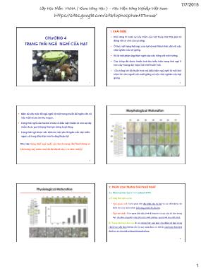 Bài giảng Sản xuất giống và công nghệ hạt giống - Chương 4: Trạng thái ngủ nghỉ của hạt