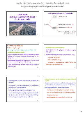 Bài giảng Sản xuất giống và công nghệ hạt giống - Chương 8: Kỹ thuật sản xuất hạt giống ở cây giao phấn