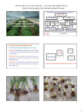 Bài giảng Sản xuất giống và công nghệ hạt giống - Chương 9: Kỹ thuật sản xuất hạt giống đối với cây sinh sản vô tính