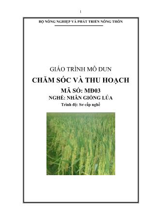 Giáo trình mô đun Chăm sóc và thu hoạch - Nhân giống lúa