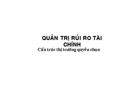 Bài giảng Quản trị rủi ro tài chính