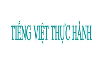 Bài giảng Tiết Việt thực hành