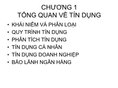 Bài giảng Tín dụng ngân hàng - Chương 1: Tổn quan về tín dụng