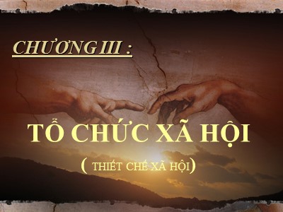 Bài giảng Xã hội học - Chương III: Tổ chức xã hội