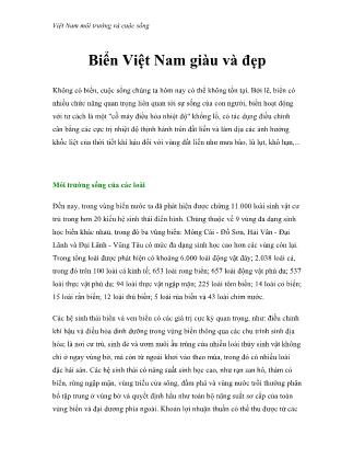 Việt Nam môi trường và cuộc sống - Biển Việt Nam giàu và đẹp