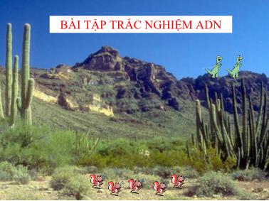 Bài giảng bài tập trắc nghiệm ADN