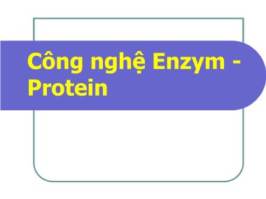 Bài giảng Công nghệ Enzym - Protein