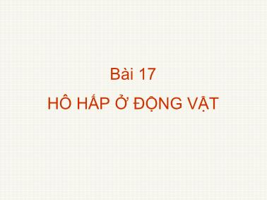Bài giảng Hô hấp ở động vật