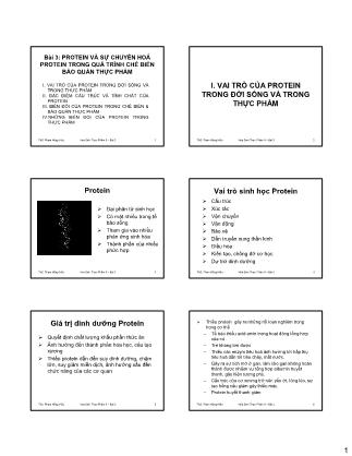 Bài giảng Hóa sinh thực phẩm II - Bài 3: Protein và sự chuyển hoá protein trong quá trình chế biến bảo quản thực phẩm - Phạm Hồng Hiếu
